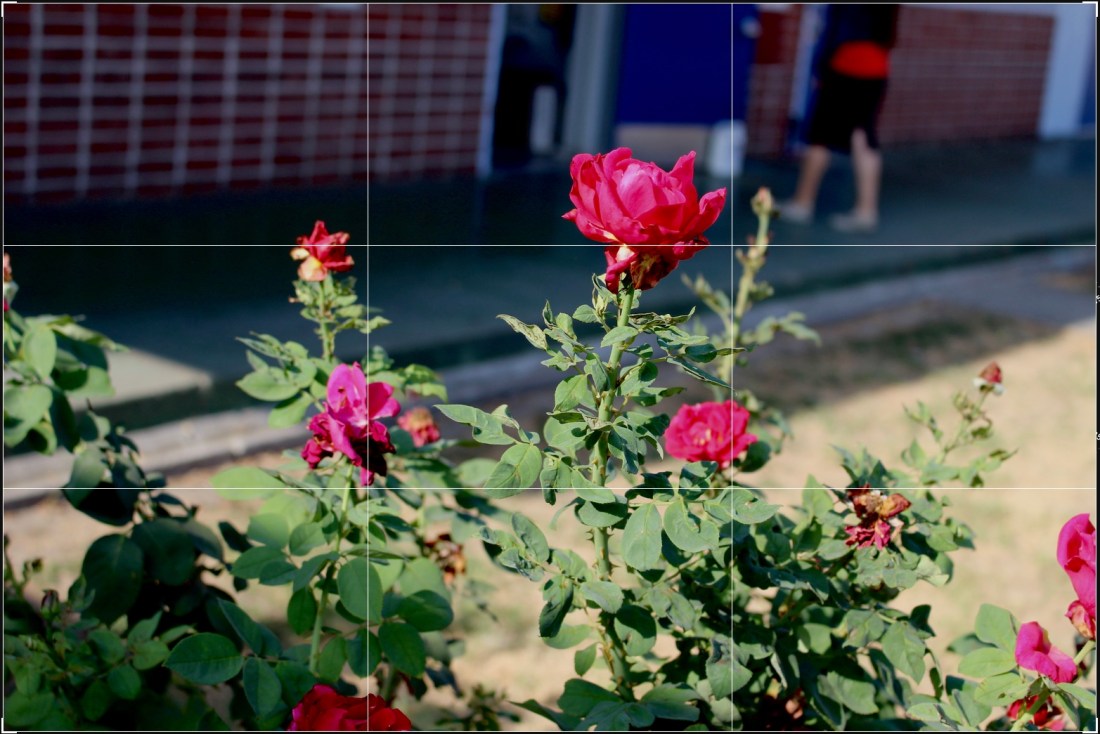 Screen Shot 2018-08-27 at 9.19.17 AM